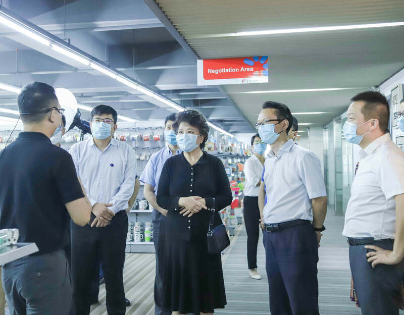 全國政協常委裘援平來賽爾集團調研